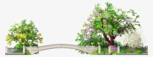 Spring Park - Wiki