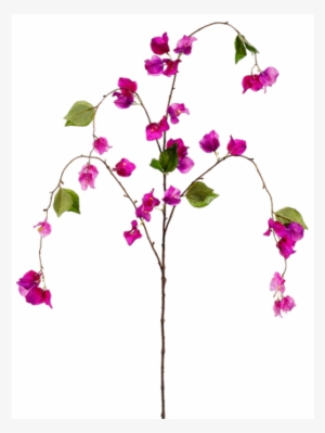 52" Bougainvillea Spray Purple Orchid - Inch