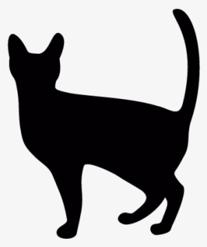 Witch Cat Vector - Cat Icon Png