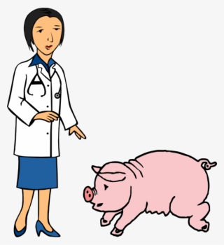 Clipart Of Veterinary, Pig At And Docotor