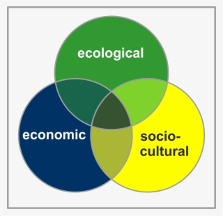 Sustainability & The Environment - Circle