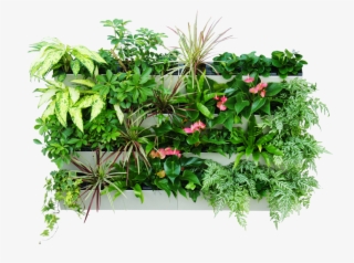 Vertical Herb Garden Png