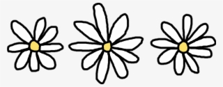 Flower Common Daisy - Flower Sticker Tumblr Png