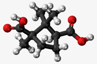 Camphoric Acid 3d Ball - Illustration