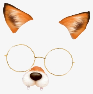 #fox #snow #snowfilter #snowfilters #snapchat #snapchatfilter - Companion Dog