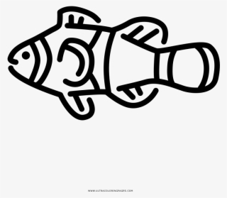 Clown Fish Coloring Page Pomacentridae Transparent Png 1000x1000 Free Download On Nicepng - clownfish clipart transparent clownfish roblox png