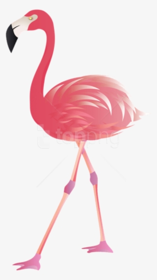 Free Png Download Flamingo Png Images Background Png - Clip Art Flamingo Png