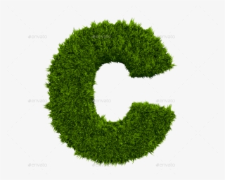 C - Letter O Grass Png