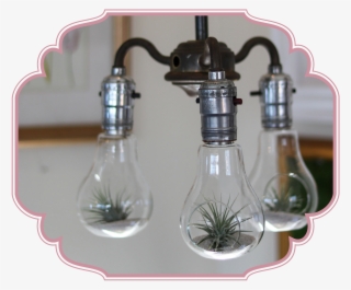 Down Hanging 3-arm Lamp