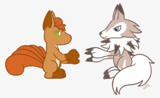 vulpix daily day - eurasian red squirrel