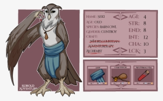 Seki's Character Sheet - Cartoon
