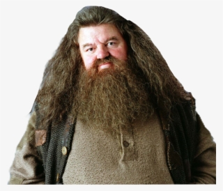 Hagrid Sticker - Harry Potter Cast Now 2018