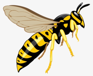Wasp Png Download Image - Wasp Clipart