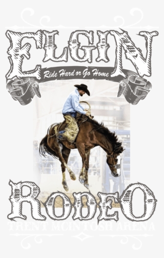 Visit Elgin Rodeo On - Stallion