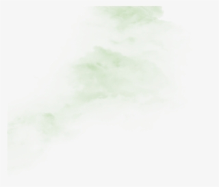Gray Line Png - Plant