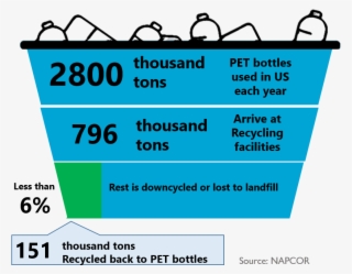 Pet Recycling - Thomas Tallis School