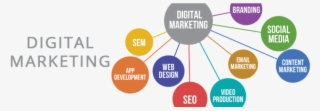 Digital Marketing Branches