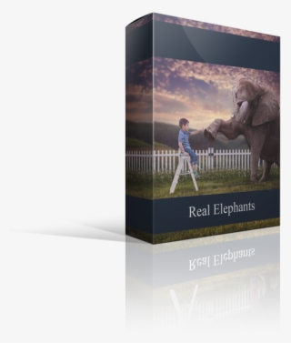 Real Elephant Overlays For Photographers - Carton