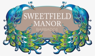 Luxury Accommodation Barbados - Sweetfield Manor