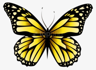Free Png Download Yellow Butterfly Png Clipar Clipart - Yellow Butterflies