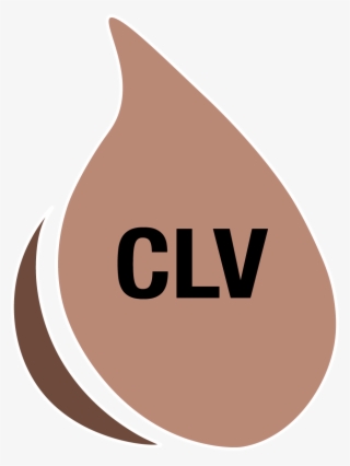 Clv Clove - Illustration