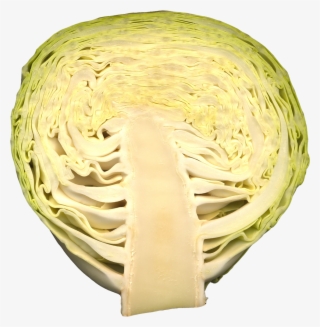 This Png File Is About Vegetables , Cabbage - Circle