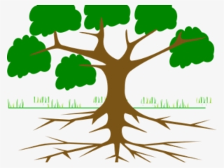Roots Clipart Animated Tree - Tree With Roots Cartoon