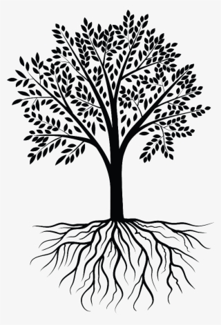 Tree Vector Black White - Transparent Tree With Roots Transparent PNG -  2264x3335 - Free Download on NicePNG
