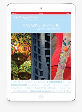 Nytysn Licensing Brochure - Graphic Design