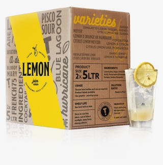 Lemon Juice Mixer - Domaine De Canton