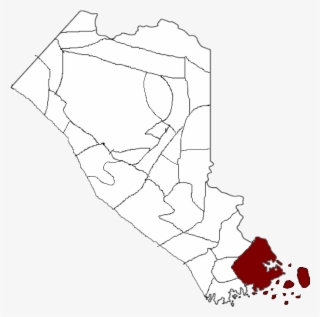 Weevil County Located - Illustration