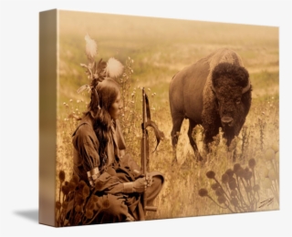 Tampa Bay // Image Is A Composite Of Photographs And - Native American Bison Art