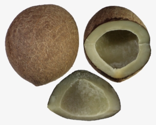 Tender Fresh Coconuts - Copra Png