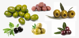 Olive - Olives
