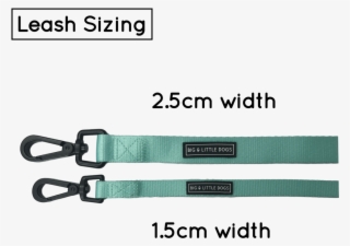 Dog Leash For Big And Small Dogs Classic Solid Teal - Leash