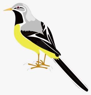 Songbird Clipart Mockingbird - Cartoon Sparrow Png
