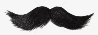 Free Png Download Mustache Black Png Images Background - Big Black Mustache