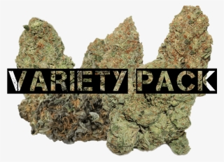 Skittles Pack - Variety Pack Of Weed