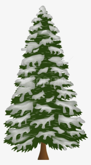 Free Png Pine Tree With Snow Png Png - Pine Tree With Snow Png