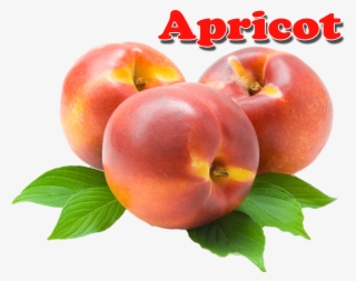 Apricot Png - Nectarines