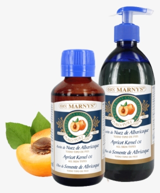 Apricot Kernel Oil - Plastic Bottle