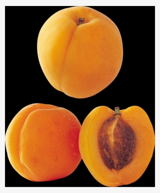 Apricot, Almond And Plum, In The Rose Family - Peach