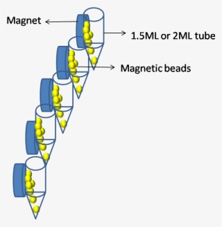 Magnetic Separator - Diagram