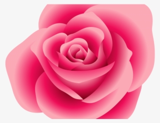 Pink Rose Clipart Vine - Pink Flower Rose Clipart