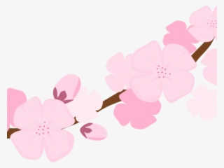 Blossom Clipart Sakura Petal - Clip Art