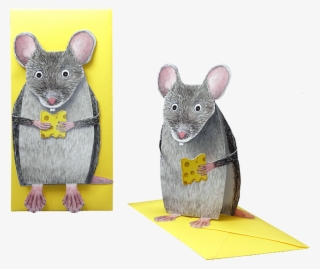 Mouse
