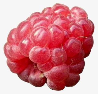 3 Cups Raspberries - Frutas Color Rojo Animadas