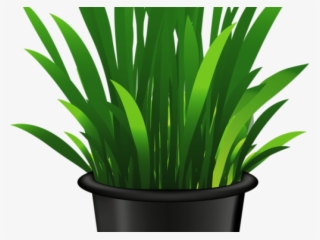 Potted Plants Clipart Seedling - Clip Art