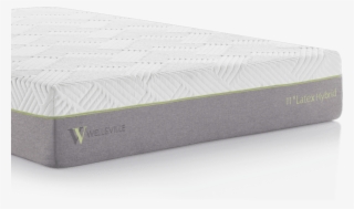 Natural Latex Hybrid - Waterbed