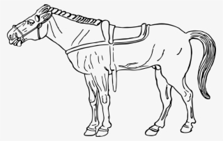 Pony Drawing Arabian Horse Coloring Book Horse Head - Dibujo Imagenes De Caballos